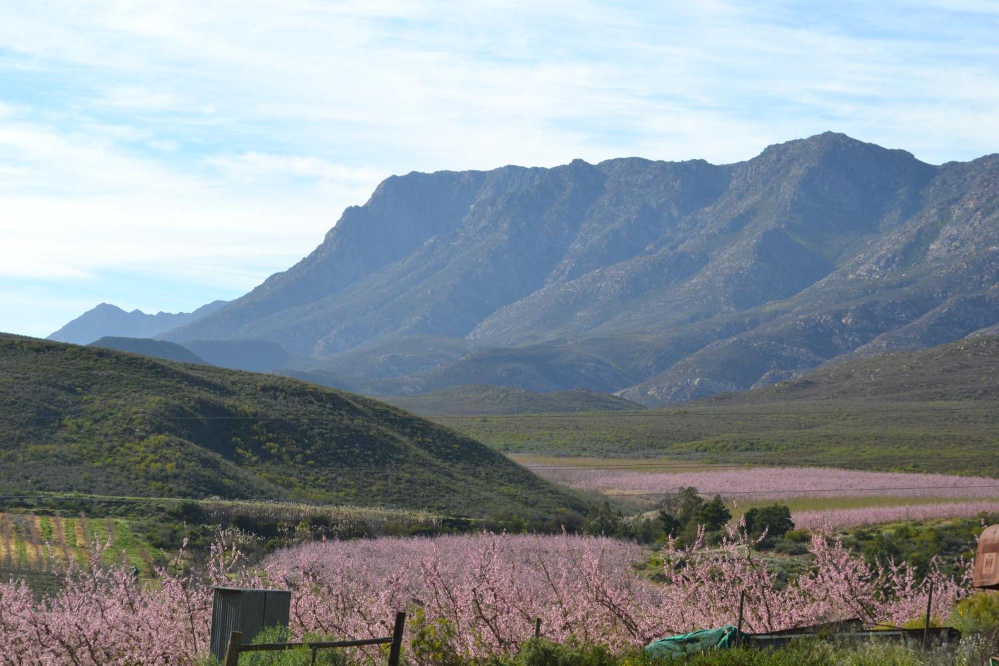 Plaas Wegbreek Barrydale