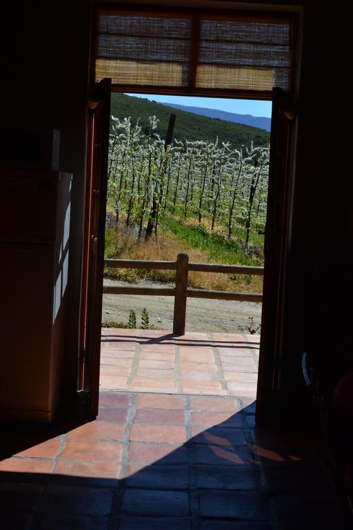 Plaas Wegbreek * Barrydale